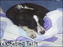 TiaAsleepOnBed09-02-06