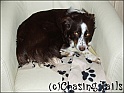 TiaChew04-06-06