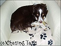 TiaChewing04-06-06