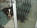 TiaInTheShower09-02-06