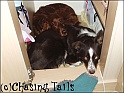 TiaLaylaNesting28-05-06