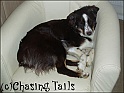 TiaOnChairAsleep16-05-06