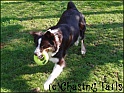 TiaPlayingFetch14-04-06