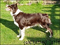 TiaStand14-04-06