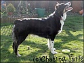 TiaStanding14-04-06