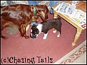 Layla&Tia15-10-04