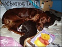 LaylaAndTiaAsleep01-12-04