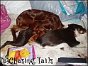 LaylaAndTiaTogether01-12-04