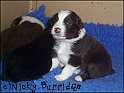Tia3wksOld