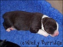 Tia4daysOld