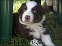 Tia4wksOld