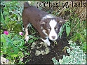 TiaAndHerHandywork04-10-04