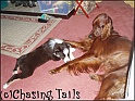 TiaAndLayla04-10-04