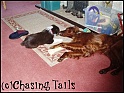 TiaAndLaylaLounge04-10-04