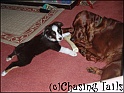 TiaAndLaylaTogether04-10-04
