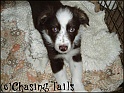 TiaInCage03-10-04