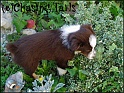 TiaInGarden04-10-04