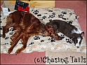 TiaLaylaInLounge02-11-04