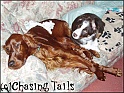 TiaLaylaOnSettee04-11-04