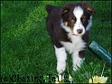 TiaOnFlowers04-10-04