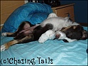 TiaOnMyBed02-11-04