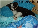 TiaOnMyBed19-10-04_10WeeksOld
