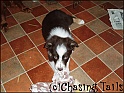 TiaWithRag03-10-04